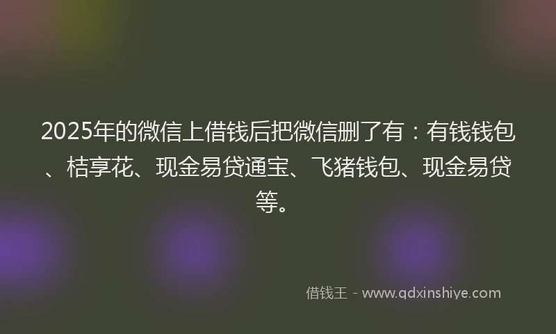 2025年的微信上借钱后把微信删了有：有钱钱包、桔享花、现金易贷通宝、飞猪钱包、现金易贷等。
