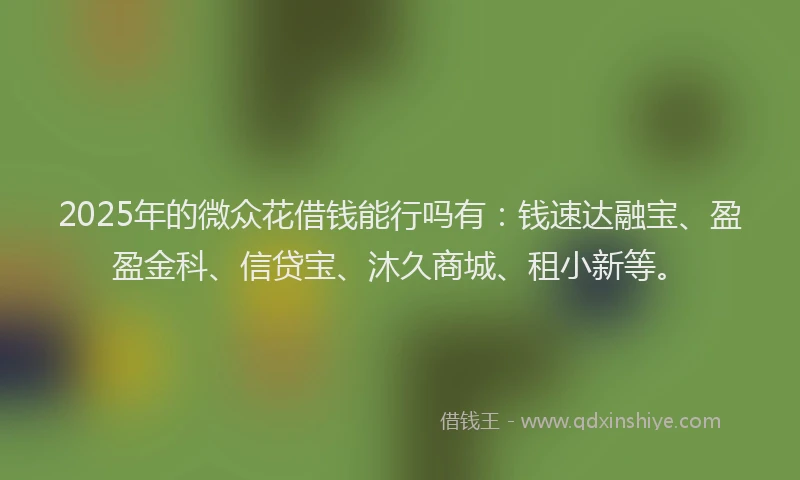2025年的微众花借钱能行吗有：钱速达融宝、盈盈金科、信贷宝、沐久商城、租小新等。