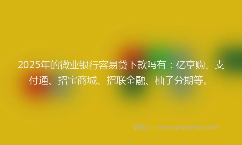2025年的微业银行容易贷下款吗有：亿享购、支付通、招宝商城、招联金融、柚子分期等。