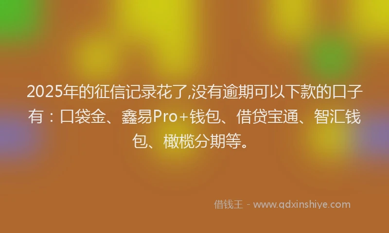 2025年的征信记录花了,没有逾期可以下款的口子有：口袋金、鑫易Pro+钱包、借贷宝通、智汇钱包、橄榄分期等。