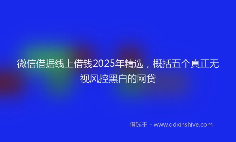 微信借据线上借钱2025年精选，概括五个真正无视风控黑白的网贷