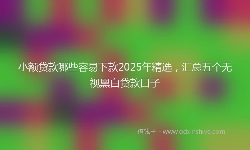 小额贷款哪些容易下款2025年精选，汇总五个无视黑白贷款口子