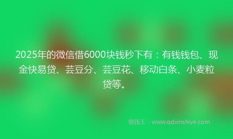 2025年的微信借6000块钱秒下有：有钱钱包、现金快易贷、芸豆分、芸豆花、移动白条、小麦粒贷等。