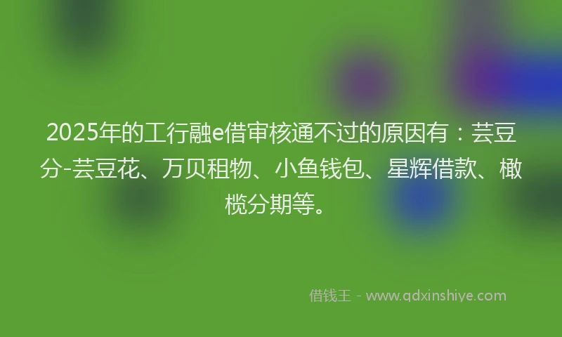 2025年的工行融e借审核通不过的原因有：芸豆分-芸豆花、万贝租物、小鱼钱包、星辉借款、橄榄分期等。