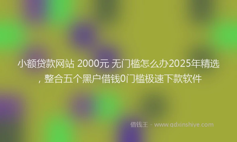 小额贷款网站 2000元 无门槛怎么办2025年精选，整合五个黑户借钱0门槛极速下款软件