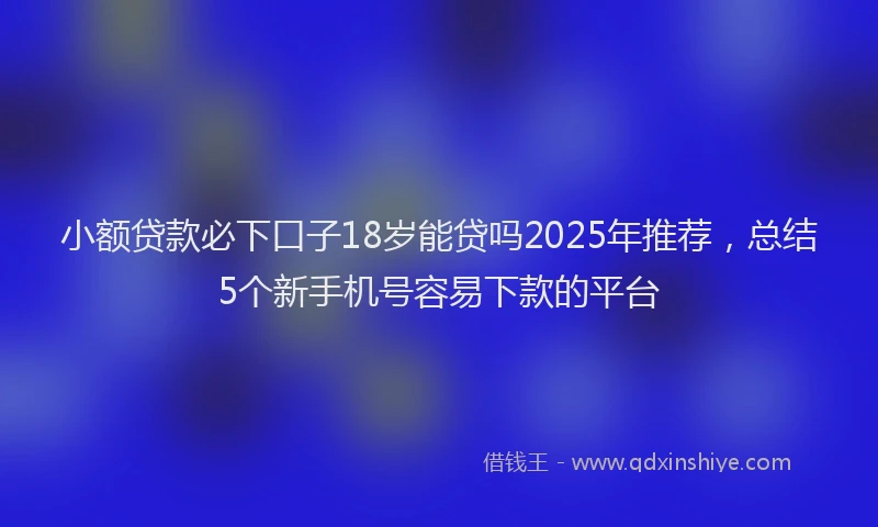 小额贷款必下口子18岁能贷吗2025年推荐，总结5个新手机号容易下款的平台