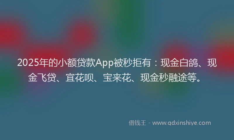 2025年的小额贷款App被秒拒有：现金白鸽、现金飞贷、宜花呗、宝来花、现金秒融途等。