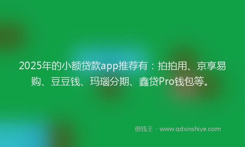 2025年的小额贷款app推荐有：拍拍用、京享易购、豆豆钱、玛瑙分期、鑫贷Pro钱包等。
