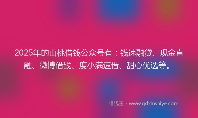 2025年的山桃借钱公众号有：钱速融贷、现金直融、微博借钱、度小满速借、甜心优选等。