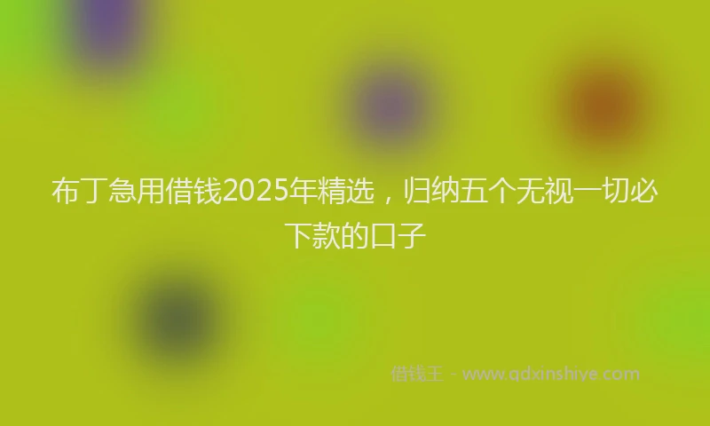 布丁急用借钱2025年精选，归纳五个无视一切必下款的口子