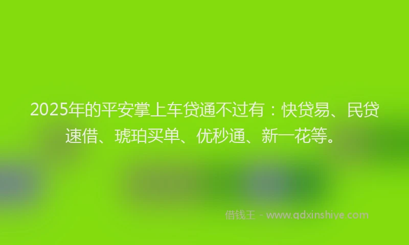 2025年的平安掌上车贷通不过有：快贷易、民贷速借、琥珀买单、优秒通、新一花等。