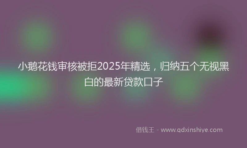 小鹅花钱审核被拒2025年精选，归纳五个无视黑白的最新贷款口子