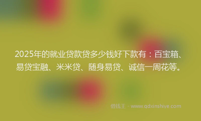 2025年的就业贷款贷多少钱好下款有：百宝箱、易贷宝融、米米贷、随身易贷、诚信一周花等。