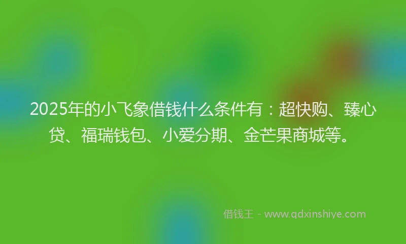 2025年的小飞象借钱什么条件有：超快购、臻心贷、福瑞钱包、小爱分期、金芒果商城等。