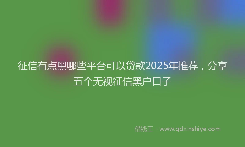 征信有点黑哪些平台可以贷款2025年推荐，分享五个无视征信黑户口子