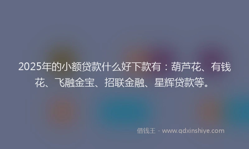 2025年的小额贷款什么好下款有：葫芦花、有钱花、飞融金宝、招联金融、星辉贷款等。