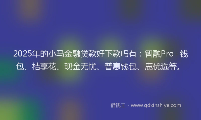2025年的小马金融贷款好下款吗有：智融Pro+钱包、桔享花、现金无忧、普惠钱包、鹿优选等。