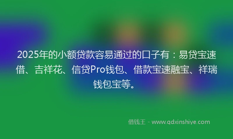 2025年的小额贷款容易通过的口子有：易贷宝速借、吉祥花、信贷Pro钱包、借款宝速融宝、祥瑞钱包宝等。