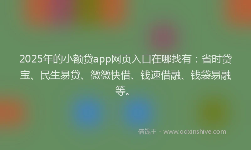 2025年的小额贷app网页入口在哪找有：省时贷宝、民生易贷、微微快借、钱速借融、钱袋易融等。