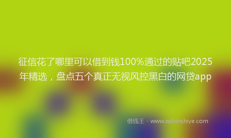 征信花了哪里可以借到钱100%通过的贴吧2025年精选，盘点五个真正无视风控黑白的网贷app