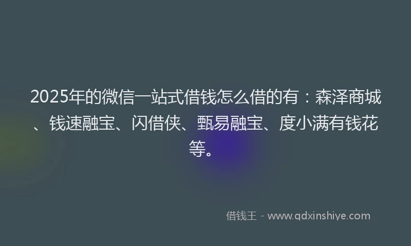 2025年的微信一站式借钱怎么借的有：森泽商城、钱速融宝、闪借侠、甄易融宝、度小满有钱花等。