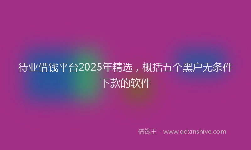 待业借钱平台2025年精选，概括五个黑户无条件下款的软件