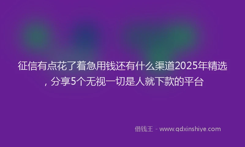 征信有点花了着急用钱还有什么渠道2025年精选，分享5个无视一切是人就下款的平台