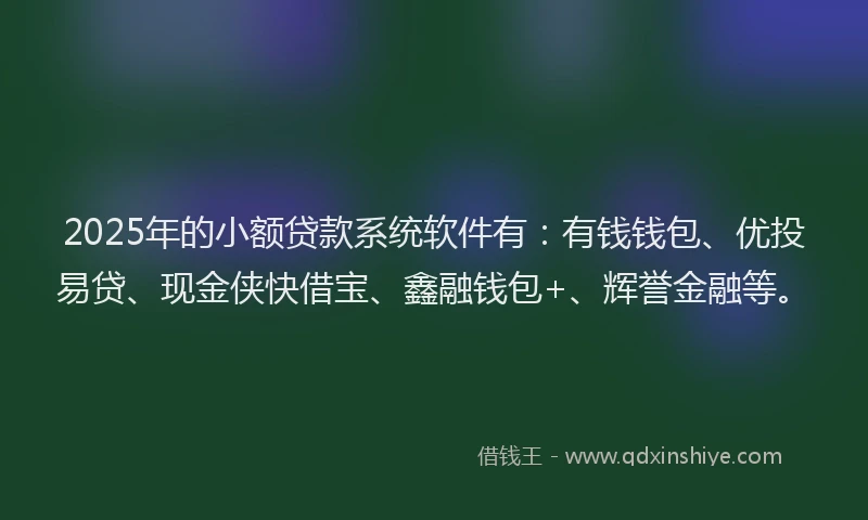 2025年的小额贷款系统软件有：有钱钱包、优投易贷、现金侠快借宝、鑫融钱包+、辉誉金融等。