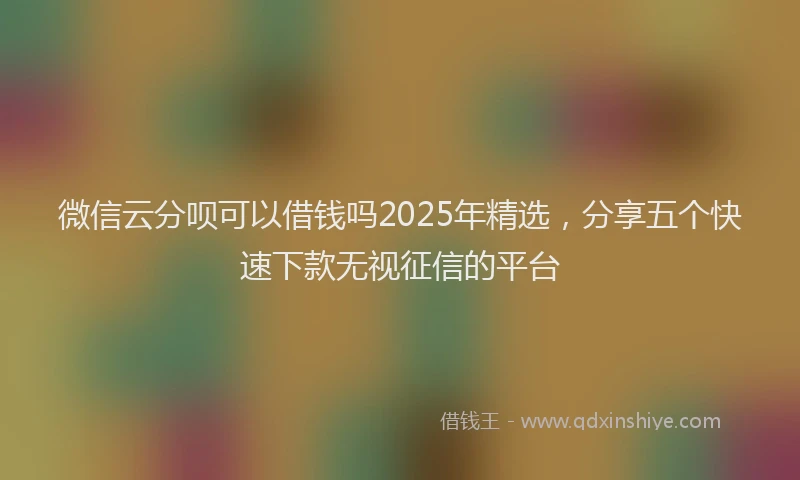 微信云分呗可以借钱吗2025年精选，分享五个快速下款无视征信的平台
