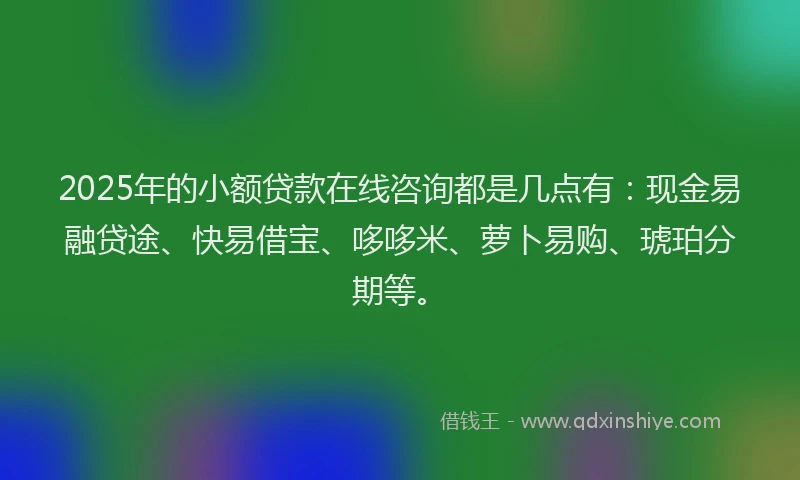 2025年的小额贷款在线咨询都是几点有：现金易融贷途、快易借宝、哆哆米、萝卜易购、琥珀分期等。