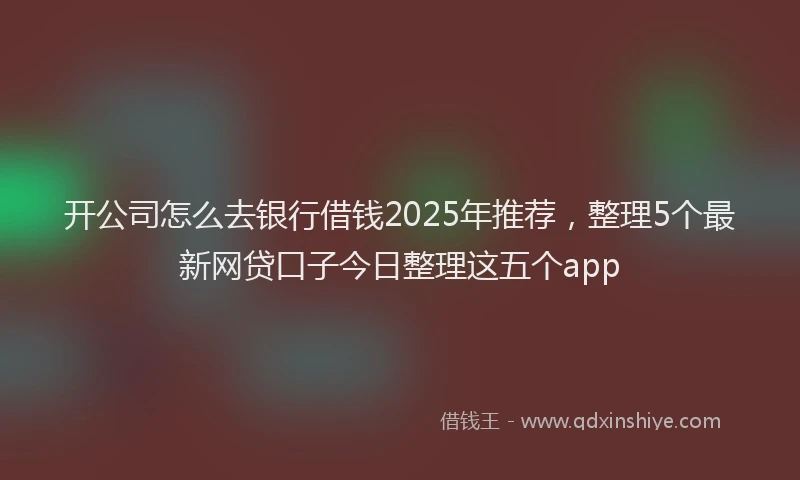 开公司怎么去银行借钱2025年推荐，整理5个最新网贷口子今日整理这五个app