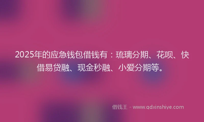 2025年的应急钱包借钱有：琉璃分期、花呗、快借易贷融、现金秒融、小爱分期等。