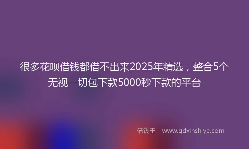 很多花呗借钱都借不出来2025年精选，整合5个无视一切包下款5000秒下款的平台