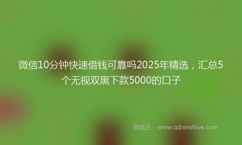 微信10分钟快速借钱可靠吗2025年精选，汇总5个无视双黑下款5000的口子