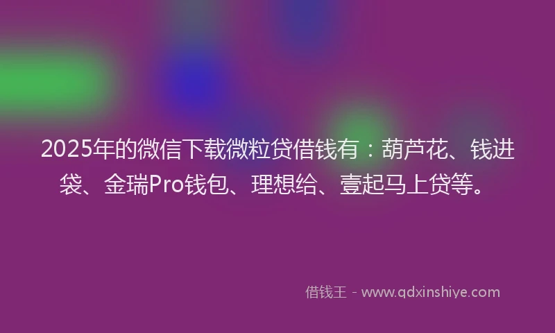 2025年的微信下载微粒贷借钱有：葫芦花、钱进袋、金瑞Pro钱包、理想给、壹起马上贷等。
