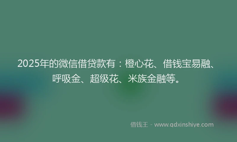 2025年的微信借贷款有：橙心花、借钱宝易融、呼吸金、超级花、米族金融等。