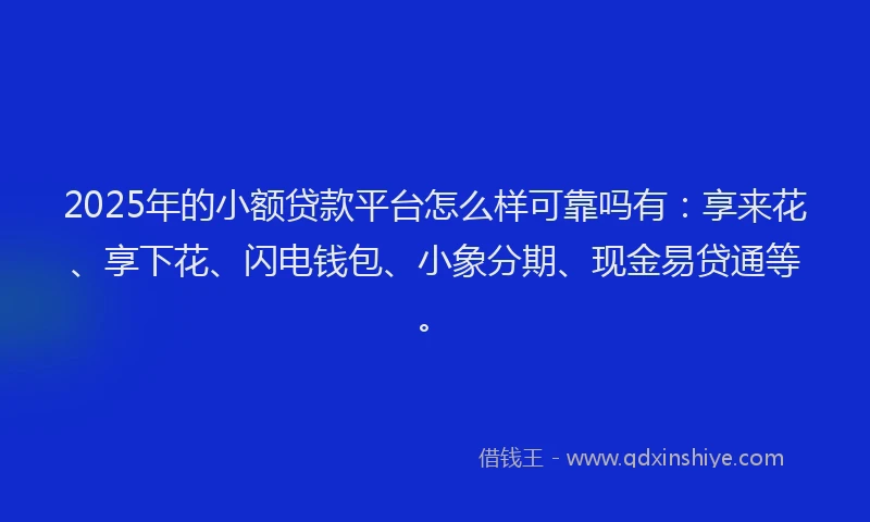 2025年的小额贷款平台怎么样可靠吗有：享来花、享下花、闪电钱包、小象分期、现金易贷通等。