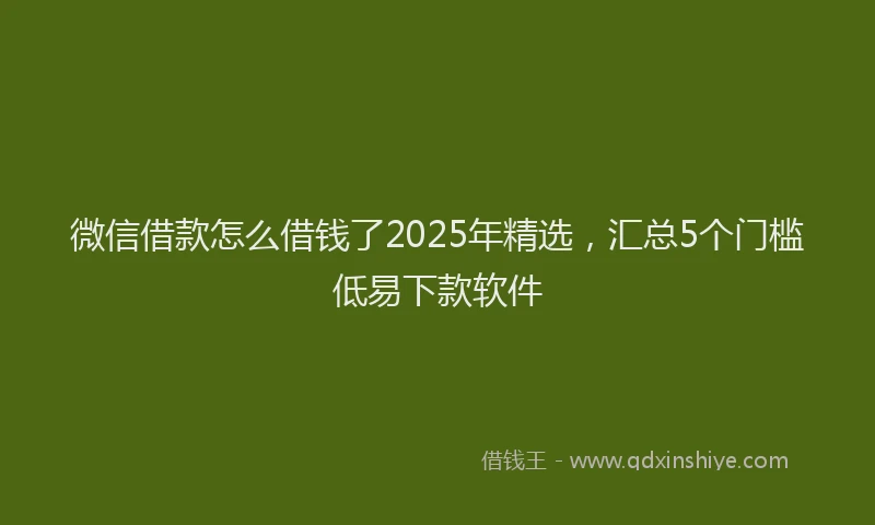微信借款怎么借钱了2025年精选，汇总5个门槛低易下款软件