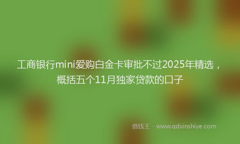 工商银行mini爱购白金卡审批不过2025年精选，概括五个11月独家贷款的口子