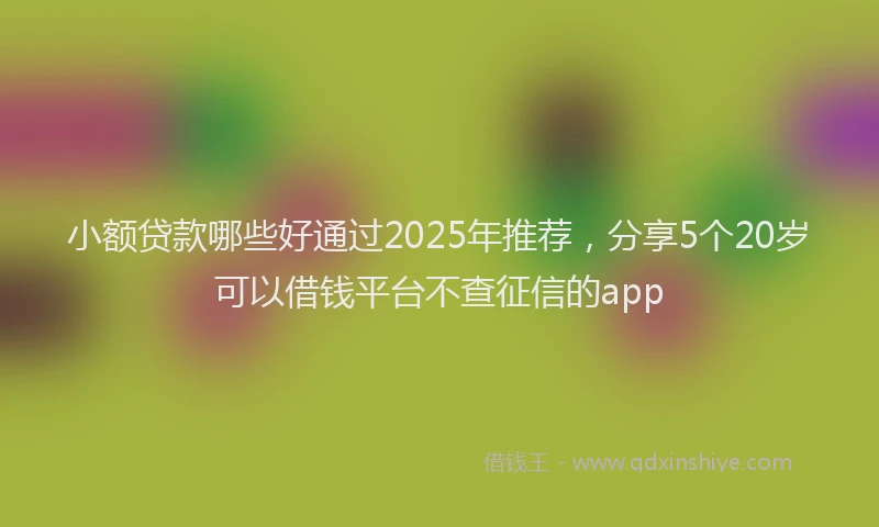 小额贷款哪些好通过2025年推荐，分享5个20岁可以借钱平台不查征信的app