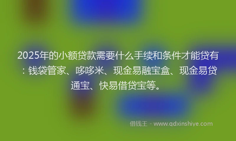 2025年的小额贷款需要什么手续和条件才能贷有：钱袋管家、哆哆米、现金易融宝盒、现金易贷通宝、快易借贷宝等。