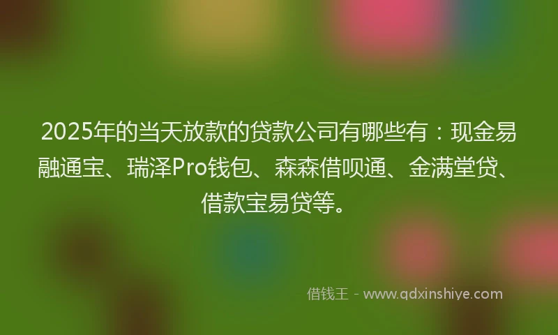 2025年的当天放款的贷款公司有哪些有：现金易融通宝、瑞泽Pro钱包、森森借呗通、金满堂贷、借款宝易贷等。