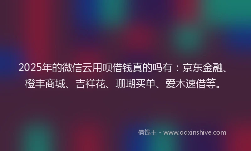 2025年的微信云用呗借钱真的吗有：京东金融、橙丰商城、吉祥花、珊瑚买单、爱木速借等。