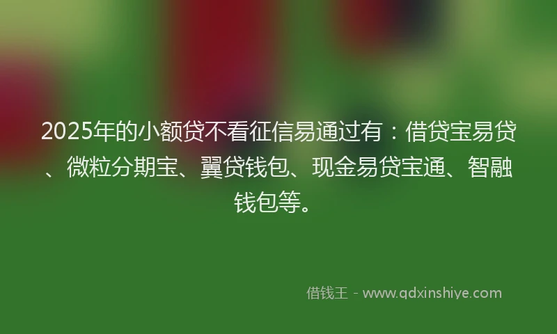 2025年的小额贷不看征信易通过有：借贷宝易贷、微粒分期宝、翼贷钱包、现金易贷宝通、智融钱包等。