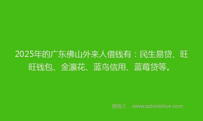 2025年的广东佛山外来人借钱有：民生易贷、旺旺钱包、金瀛花、蓝鸟信用、蓝莓贷等。