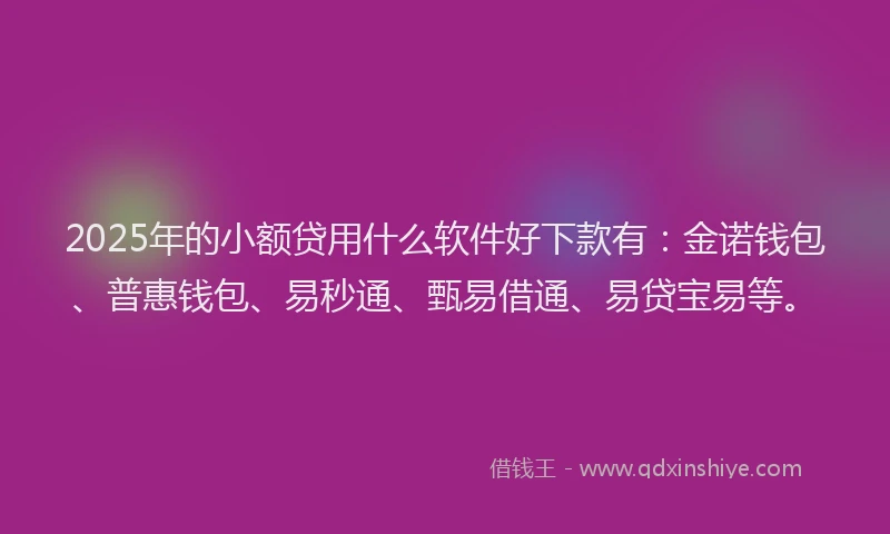 2025年的小额贷用什么软件好下款有：金诺钱包、普惠钱包、易秒通、甄易借通、易贷宝易等。