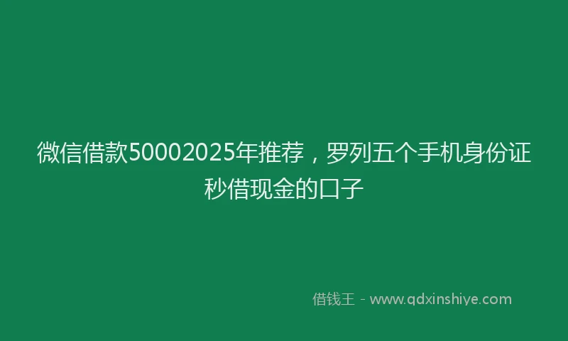 微信借款50002025年推荐，罗列五个手机身份证秒借现金的口子
