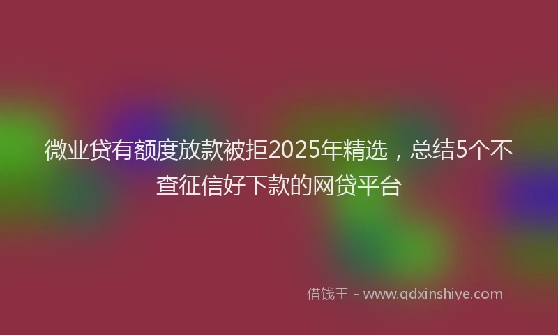 微业贷有额度放款被拒2025年精选，总结5个不查征信好下款的网贷平台