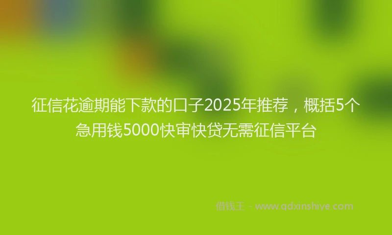 征信花逾期能下款的口子2025年推荐，概括5个急用钱5000快审快贷无需征信平台