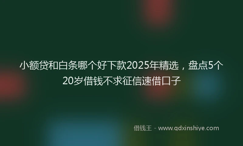 小额贷和白条哪个好下款2025年精选，盘点5个20岁借钱不求征信速借口子